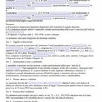 Fac Simile Contratto di Locazione con Fideiussione Personale